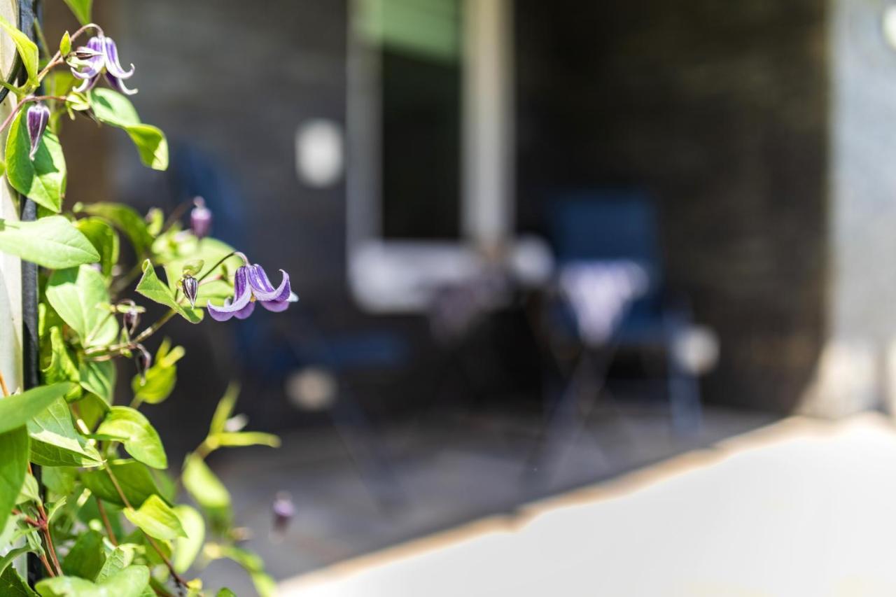 Ferienwohnung Moselpanorama Traben-Trarbach Ngoại thất bức ảnh